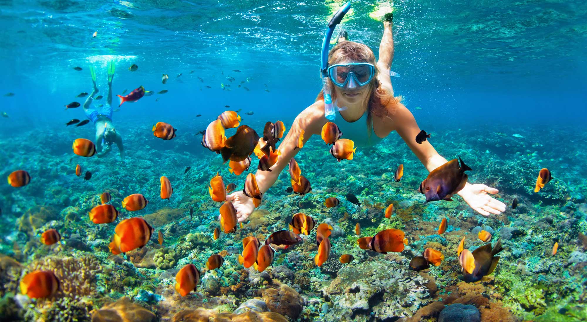 Snorkeling and Diving