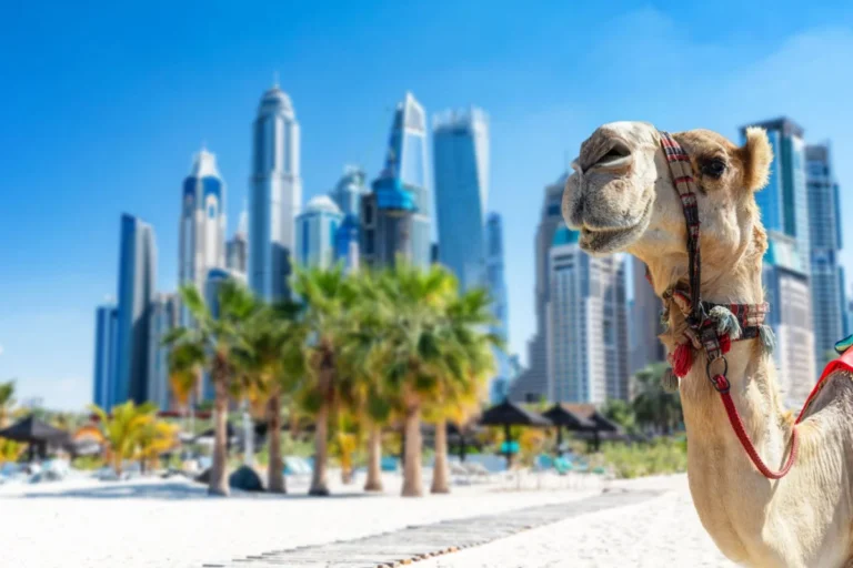 Dubai-7-Things-Travelers-Need-To-Know-Before-Visiting